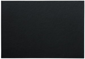 Business Check Binder, Black
