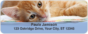 Precious Kittens Address Labels