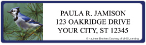Songbirds Address Labels