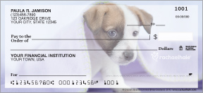 rachaelhale� Dogs Checks