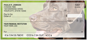 Labrador Retriever Checks