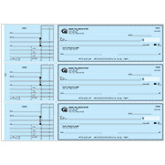 Blue Safety General Purpose Business Checks